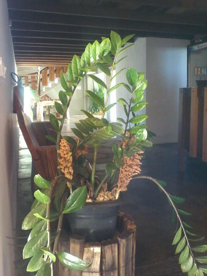 Pouso D' Braga Hotell Pirenópolis Eksteriør bilde
